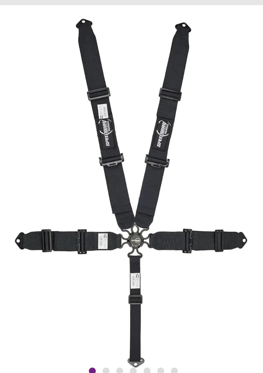 5 Point Seat Belt Harness, Cam Lock, Pull Down, Black